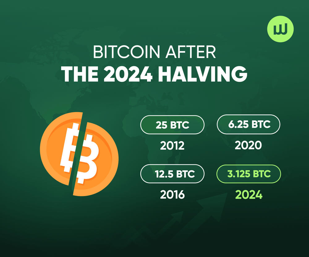Bitcoin After the 2024 Halving: Is This the End of the Four-Year Cycle? What’s Next?